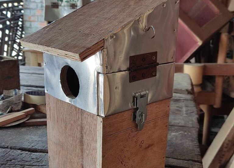 Bird Nest Box Making Job